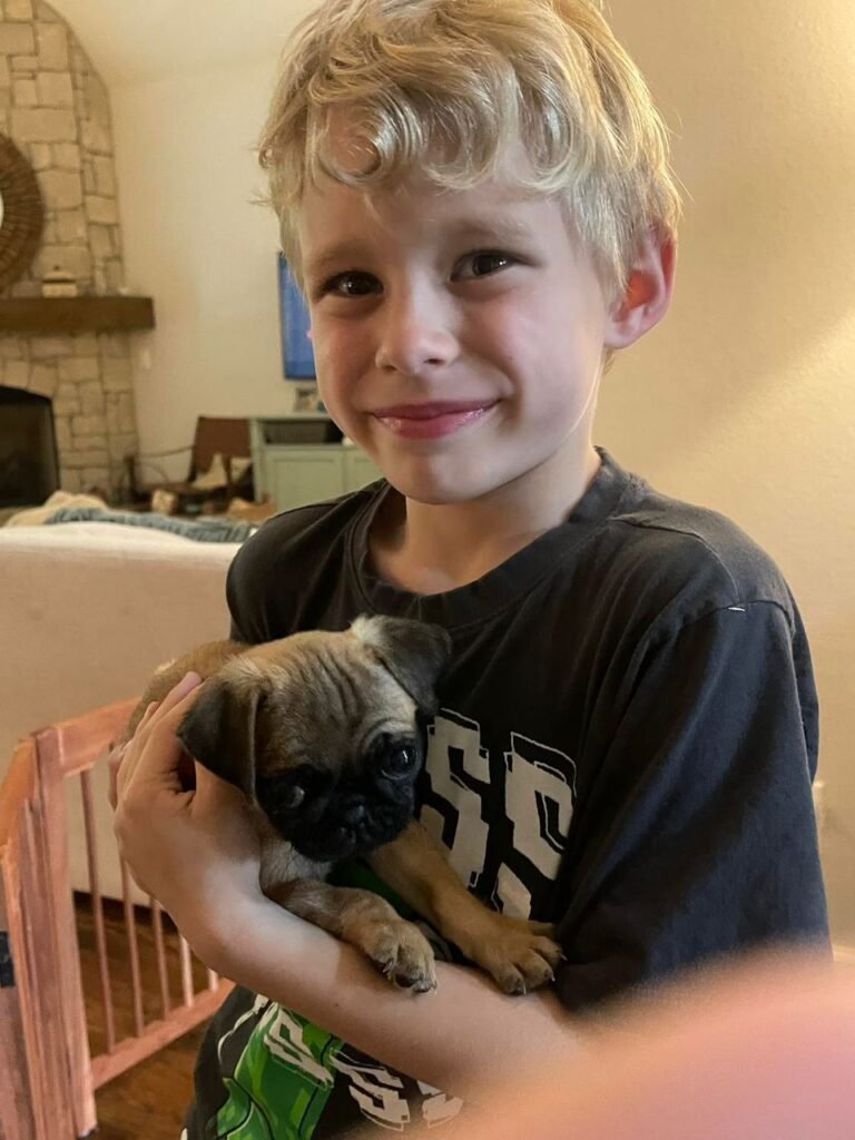 The Thompson Family at home with Cooper, their pug from Pug Forever Homes