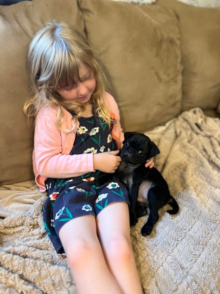 The Anderson Family at home with Luna, their pug from Pug Forever Homes